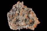 Hematite Quartz, Chalcopyrite and Pyrite Association #170278-1